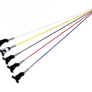 دقل خيزران مع القاعدة