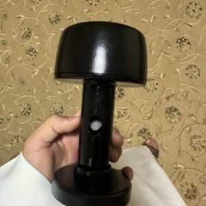 دقل مغناطيس