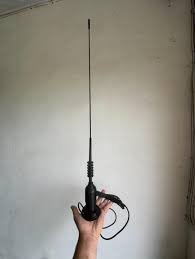 دقل مغناطيس